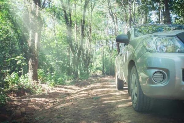 Driving Laws You Must Know Before Renting in Bangalore