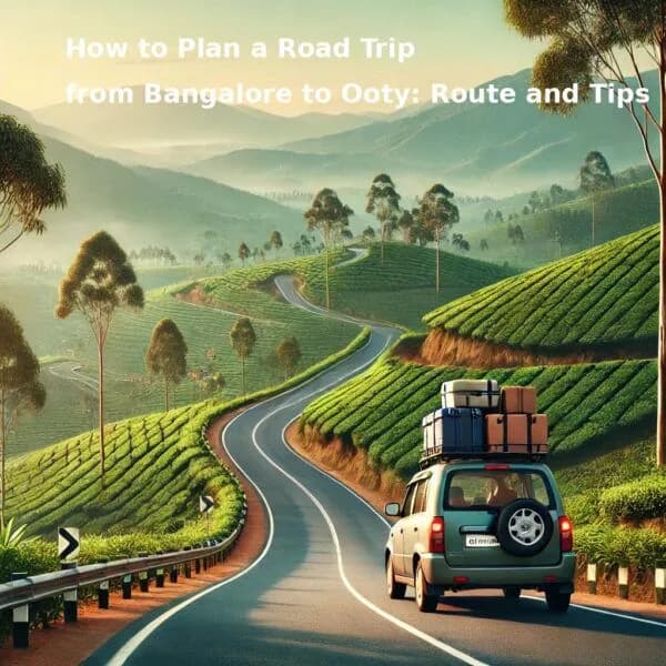 Solo Women Travel: Safe and Scenic Routes in South India