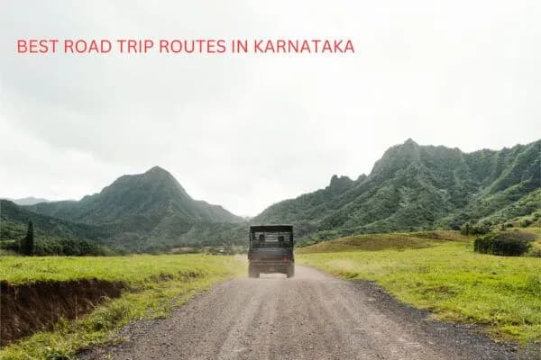 The Benefits of Choosing a Self-Drive Car for Your Next Road Trip