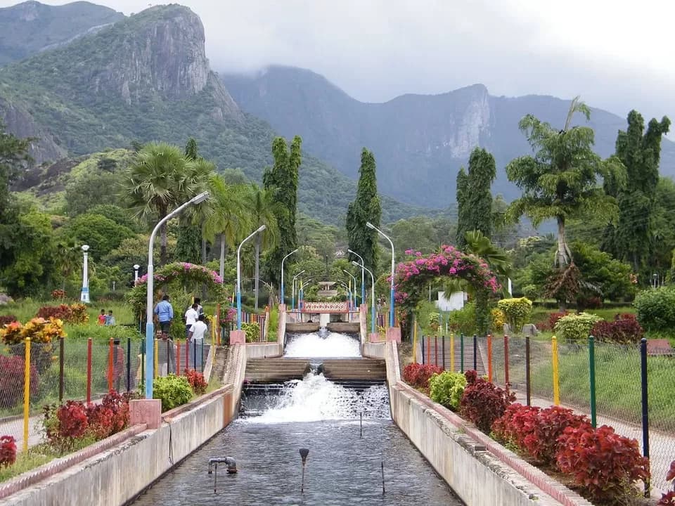 Green lawns at a city park and zoo